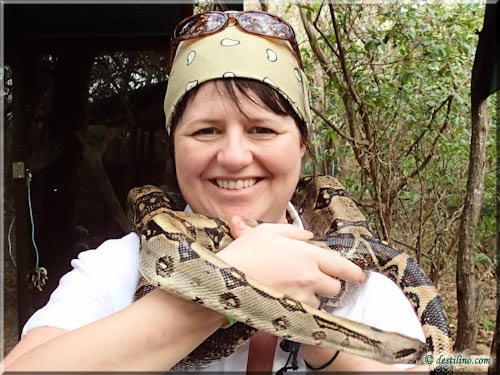 Ferme des reptiles et papillons