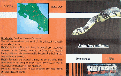 Ferme des reptiles et papillons