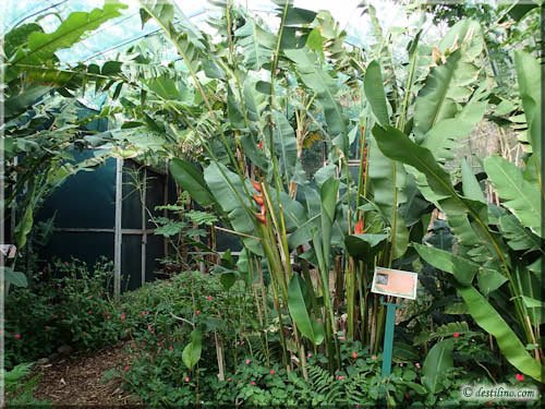 Ferme des reptiles et papillons