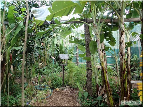 Ferme des reptiles et papillons
