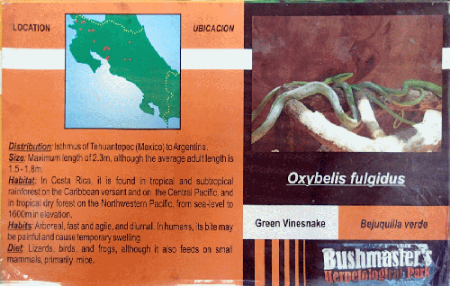 Ferme des reptiles et papillons