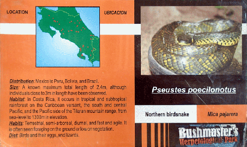 Ferme des reptiles et papillons