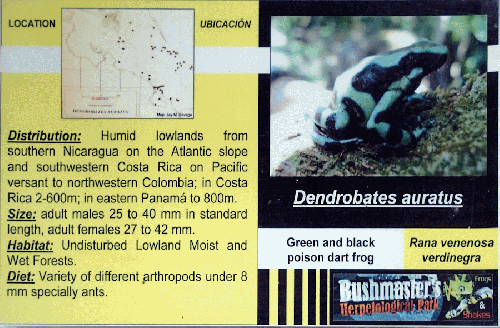 Ferme des reptiles et papillons