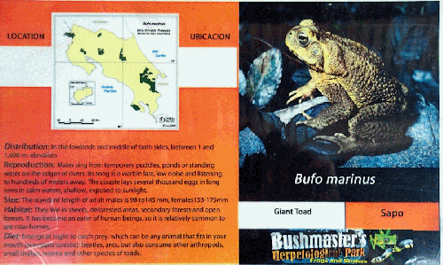 Ferme des reptiles et papillons