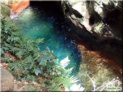 Canyon Canopy (Hacienda Guachipelin)