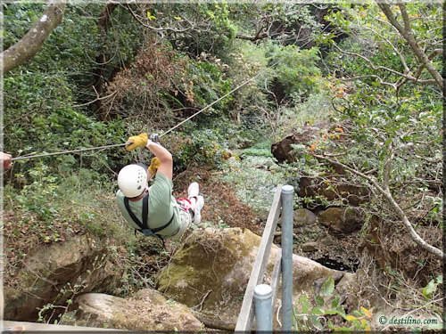 Canopy Tour - La Isla