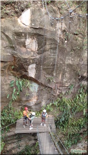 Canopy Tour - La Isla