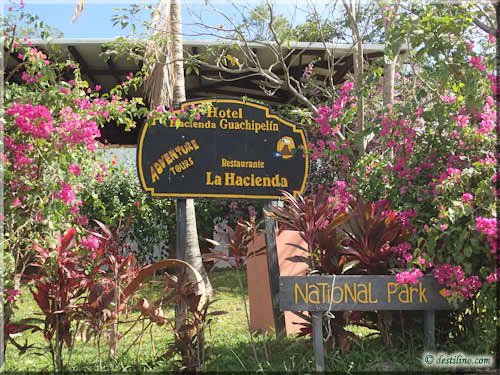 Hacienda Guachipelin