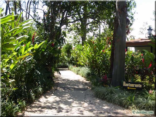 Hacienda Guachipelin