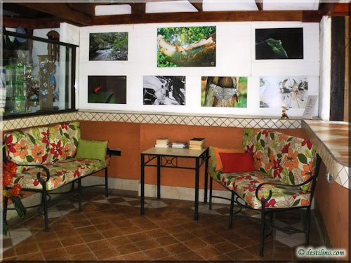 Hacienda Guachipelin