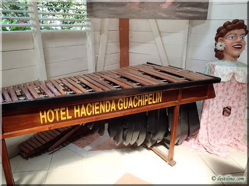 Hacienda Guachipelin