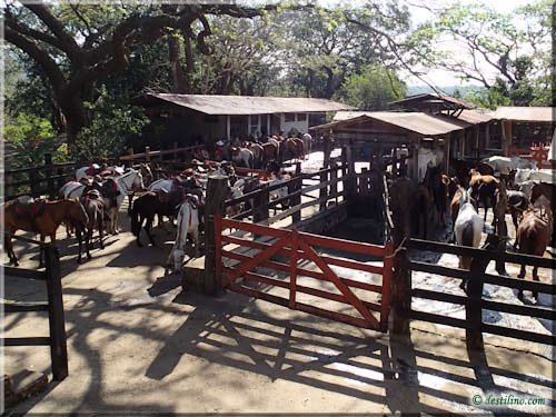 Hacienda Guachipelin