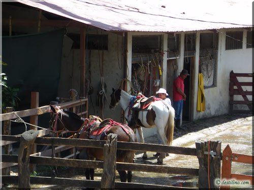 Hacienda Guachipelin