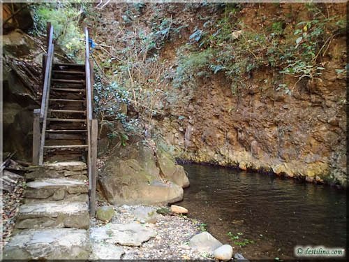 Cascada Oro Pendola