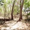 Parque Santa Rosa