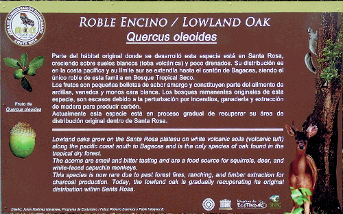 Parque Santa Rosa