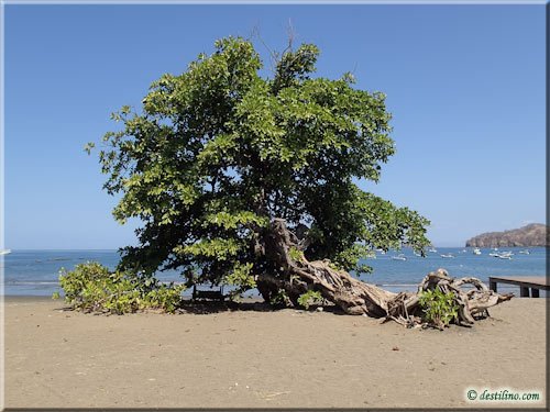 Playa del Coco