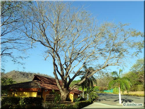 Hotel Sol Papagayo