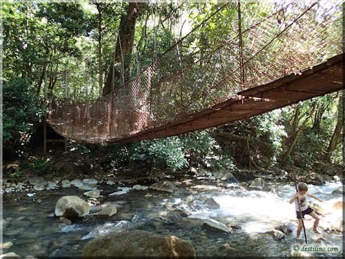 Trek Las Pailas - Rincon de la Vieja