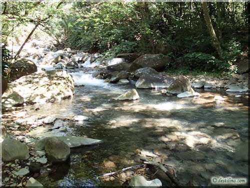 Trek Las Pailas - Rincon de la Vieja