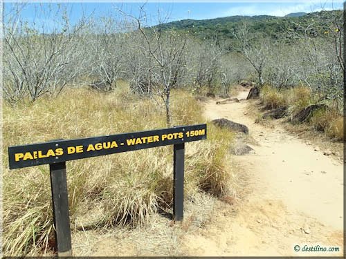 Trek Las Pailas - Rincon de la Vieja