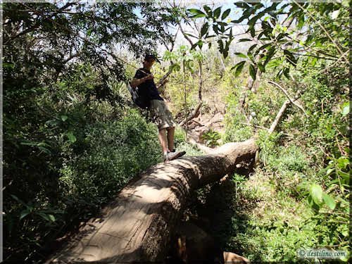 Trek Las Pailas - Rincon de la Vieja