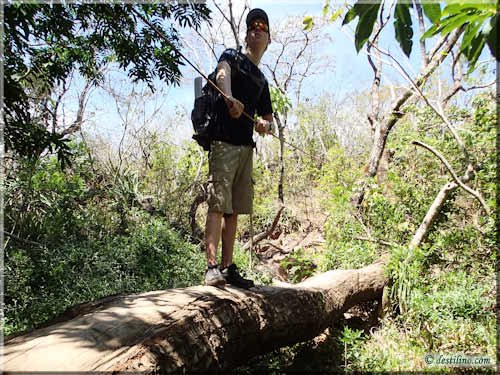 Trek Las Pailas - Rincon de la Vieja