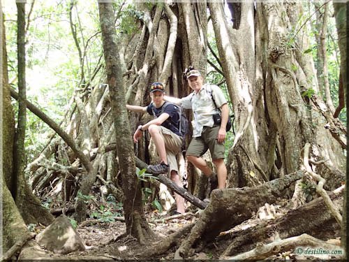 Trek Las Pailas - Rincon de la Vieja