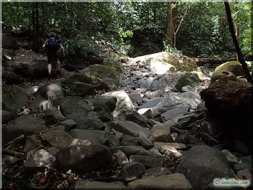 Trek Las Pailas - Rincon de la Vieja