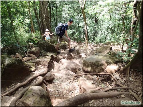 Trek Las Pailas - Rincon de la Vieja