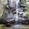 Trek Las Pailas - Rincon de la Vieja