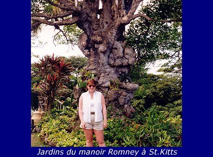 Croisiere Antilles (1998)
