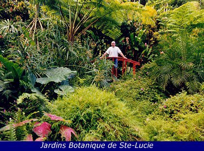 Croisiere Antilles (1998)
