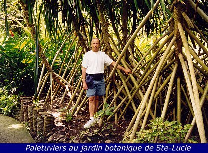 Croisiere Antilles (1998)