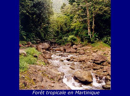 Croisiere Antilles (1998)