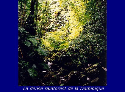 Croisiere Antilles (1998)