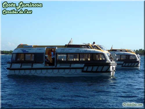 Transfert à Catalina