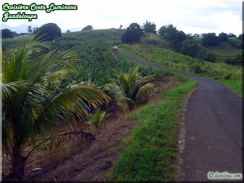 Lamothe - Petit bourg