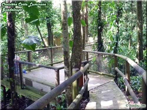 Parc des Mamelles (Basse-Terre)