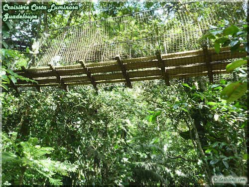Parc des Mamelles (Basse-Terre)