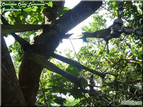 Parc des Mamelles (Basse-Terre)