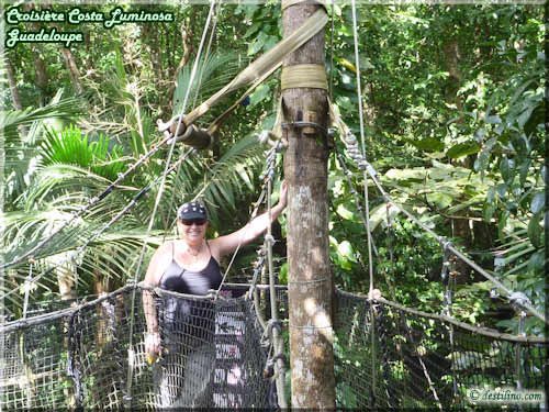 Parc des Mamelles (Basse-Terre)