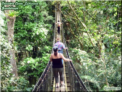 Parc des Mamelles (Basse-Terre)