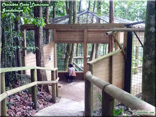 Parc des Mamelles (Basse-Terre)