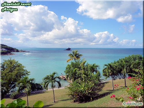 Hawksbill Resort