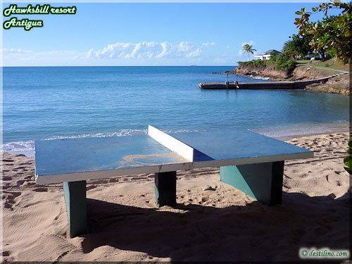 Ping pong à la plage