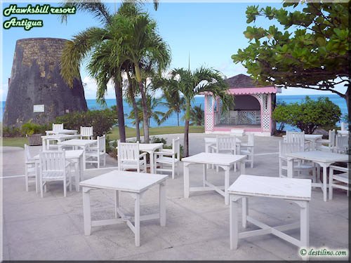 Terrasse du resto buffet
