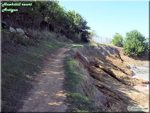 Sentier pour ce rendre à Eden Beach
