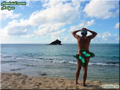 Eden Beach (plage naturiste) - Oups! un papillon devant la caméra :o)