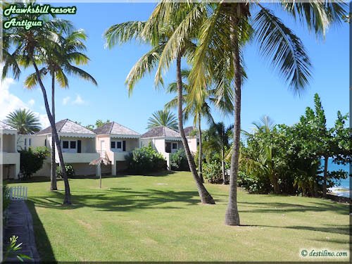 Honeymoon Cove